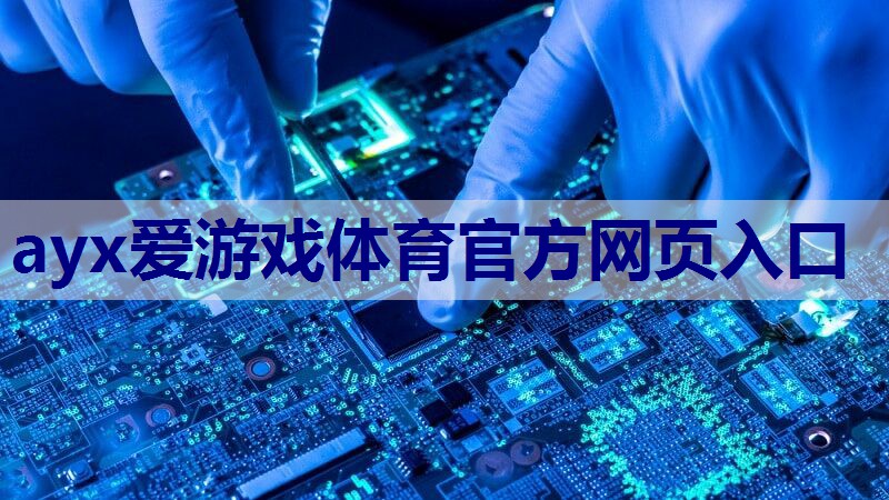 天猫电子管功率放大器支持哪种类型的音源接口？